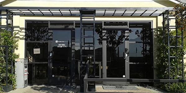 Storefront Framing Bronze Anodized